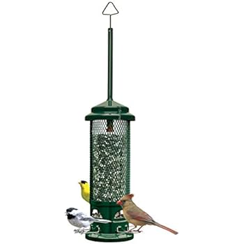 Amazon Com Squirrel Buster Legacy Squirrel Proof Bird Feeder W 4