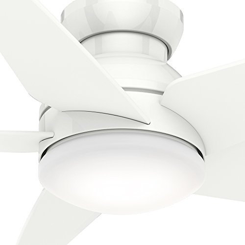 Casablanca 59021 Isotope 52 Inch 5 Blade Single Light Ceiling Fan