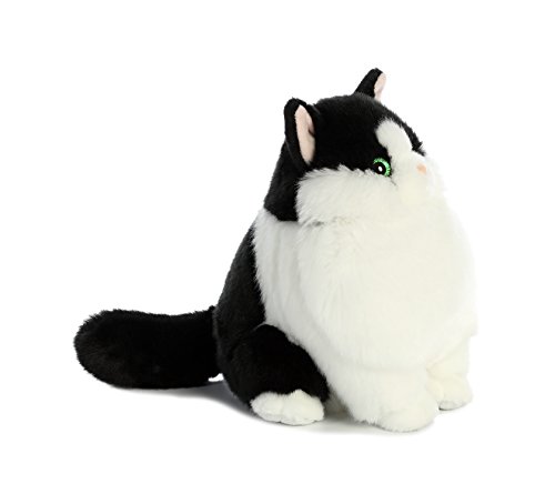 Aurora - Cats - 9.5