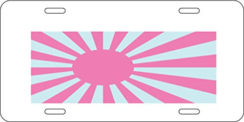 Pink And Teal Sunburst Flag Aluminum License Plate for Car Truck Vehicles