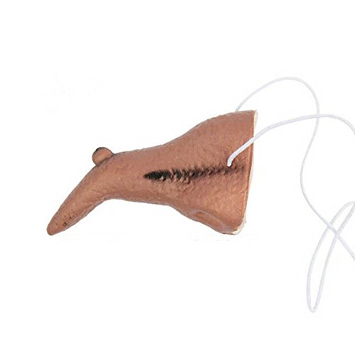 Wensltd 1Pcs Wicked Witch Nose Halloween Costume Accessory