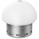 Sgin LED Desk Lamp, Nylon Braided Lightning Cable for iPhone Touch-Sensitive Control, 6 USB Smart Charging Port(30W/6A) for Smart Phone（Silver）