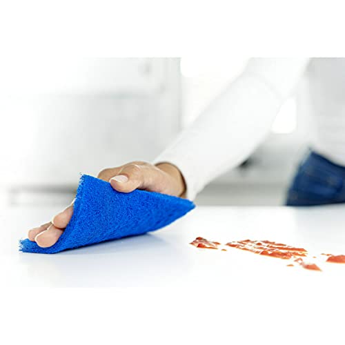 ScotchBrite NonScratch Scour Pads, Scouring Pads for Kitchen and Dish