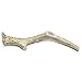 Prairie Dog Pet Products Deer Regular Antler Treat, 8-9