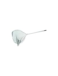 Cumings BC 1 Big Cat Siluro Neta