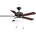 Progress Lighting P2602-20EBWB 2-13-Watt GU24 Fan Light Kit