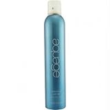 Finishing Spray/FN174613/10 oz//
