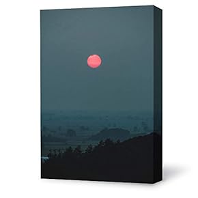 Bright Moon Shining Forests Painting Artwork for Home Framed