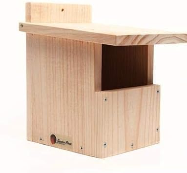 Caja nido petirrojo y lavandera: Amazon.es: Jardín
