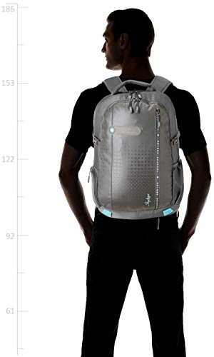 Skybags Aztek Pro 20 cms Grey Laptop 