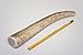 ONE (1) Extra Large Sized Elk Antler Chew Bone for Large Dogs, 9