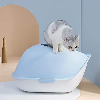 Caja de arena para gatos cubierta | Todo gatos