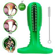 brite brite brushing stick