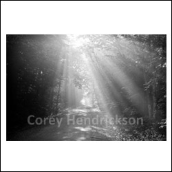Corey Hendrickson