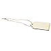 Juvale 100 Pack Unfinished Wooden Tags for Crafts with Holes and Twine, Wood Gift Tag (2.7 x 1.5 in)
