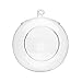 KnikGlass 80MM Globe Glass Hanging Candle Holders for Wedding Centerpieces Party Supplies (100, with 2 Side Holes)