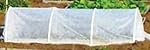 All Purpose Row Cover -Seed-Insect-Floating-Garden-Crop Cover- 12'x50'-1 Ea by Growers Solution AGO9