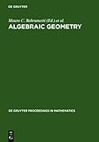 Algebraic Geometry : A Volume in Memory of Paolo Francia, Francia, Paolo, 3110171805