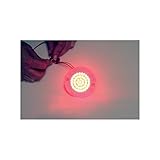 Custom Dynamics LED Turn Signal Inserts - Flat/FL Style - Red single function GEN-200-R-1156T