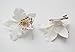 Dreamlily Hawaiian Orchid Flower Hair Clip Hair pins for Beach Party BC14 (White)