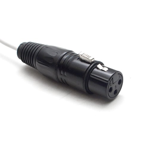 Seismic Audio - SA-DB8XF3 - DB25 - 8 Channel XLR Female 3 Foot D-Sub Snake Cable Patch Bay Interface Modular Cable