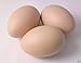 EQLEF Artificial Nest Eggs Fake Food Dummy House Decor (10pcs)