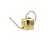 Kikkerland WC01 Vintage Watering Can,Gold