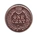1898 U.S. Indian Head Cent / Penny Coin