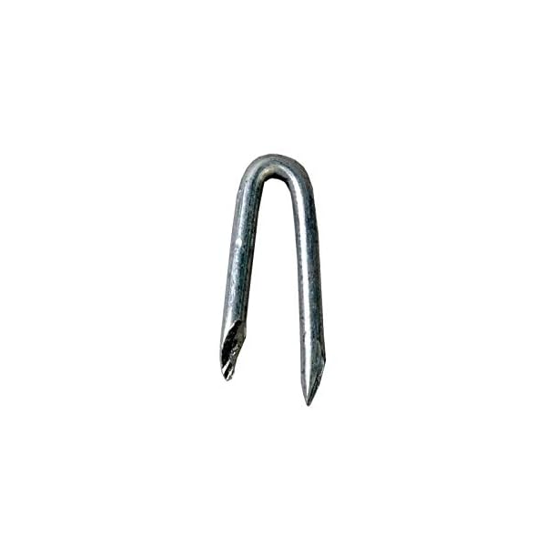 Eider Krampen/Schlaufen 5 kg - 3,8 x 38 mm - Zink-/Aluverzinkung - Aufnageln von Draht oder Knotengeflecht - auch für…