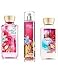 Bath & Body Works Amber Blush Gift Set - All New Daily Trio (Full-Sizes)