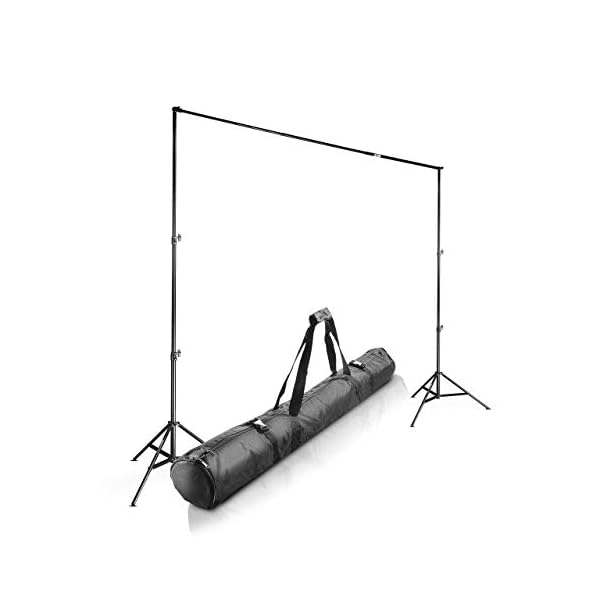 Walimex pro Teleskop Hintergrundsystem L 120-307 cm - stabiles Fotohintergrund System für Studio & Mobil I für…