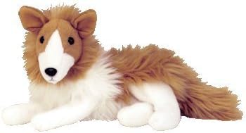 miniature poodle puppies