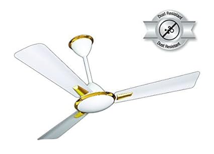 Buy Sameer Oculus 1200mm Ceiling Fan White Gold Online At Low