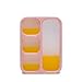 Donxote Lunch Bento Box Leak-Proof Sealing Food Container - 4 Compartments With a Spoon - BPA-free Microwave-Safe Boxes (Pink)