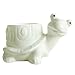 GeLive Tortoise Succulent Planter Turtle Plant Pot Animal Fun Vase Window Box Cute Home Decoration, 5 Inch, Indoor Outdoor