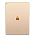Le 8-Bit Retro Rainbow Apple iPad Pro 10.5 Decal Sticker Art Design