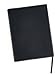 Apologetics Study Bible for Students, Black/Tan LeatherTouch