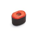 Briggs & Stratton 796970 Air Cleaner Cartridge Filter