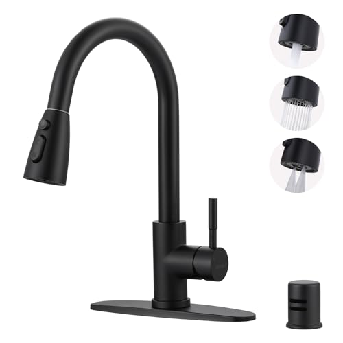 Kitchen Faucet and Dishwasher Air Gap Kit
