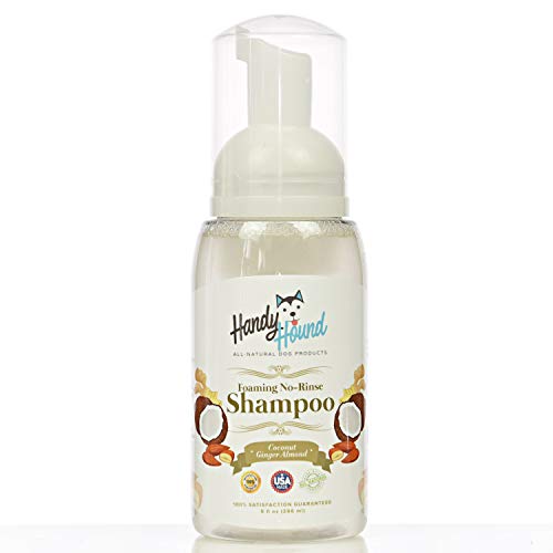 Handy Hound Coconut Ginger Almond Foaming No Rinse Shampoo for Dogs or