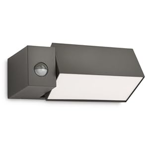 Border wall lantern anthracite 1x23W 230