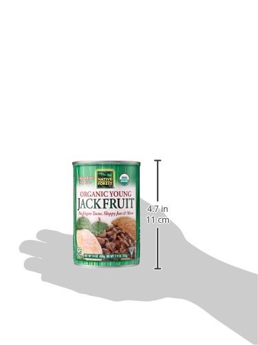 2 Native+Forest+Organic+Substitute+Jackfruit