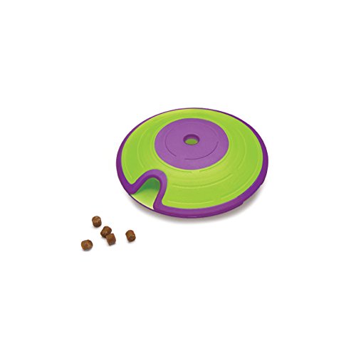 Maze Treat Dispensing Dog Toy Brain and Exercise Game for Dogs, by Nina Ottosson Green/Purple
