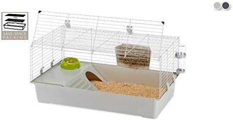 boxers for rescue near me