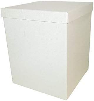 2 cajas con base y tapa de 25 x 25 x 30 cm: Amazon.es: Hogar
