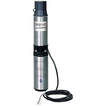 Little Giant WE20G05P4-21 Submersible Pump, black