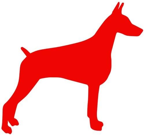 red pinscher dog