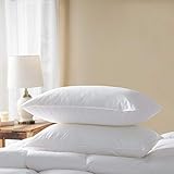 Zingsleep Goose Down Alternative Pillows (2 Pack,Queen Soft) 100% Egyptian Cotton with Microfiber Filling Sleep Pillow,Washable