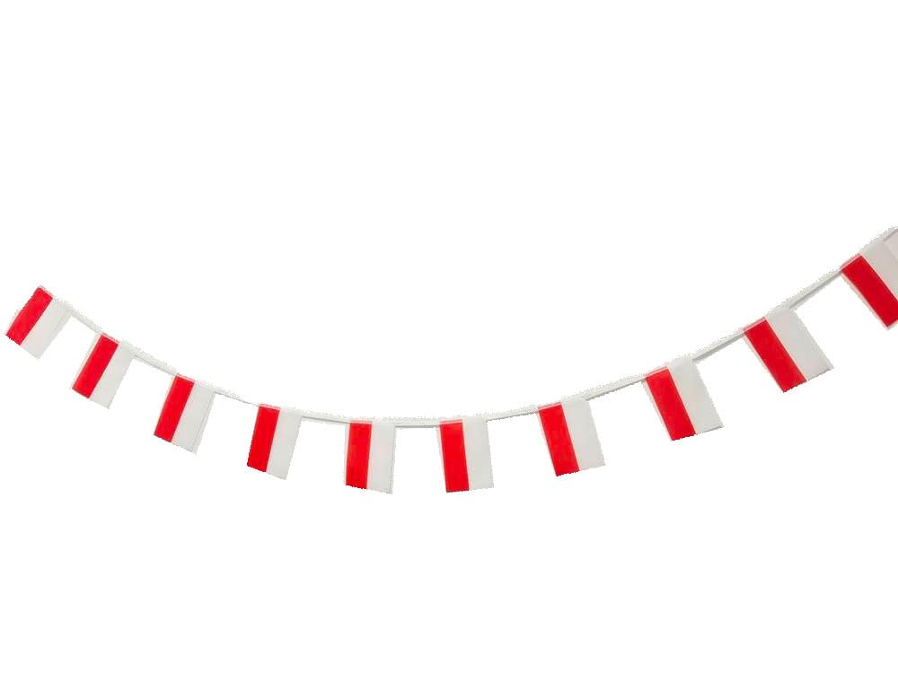 Poland Flag 40 Pcs Poland Flag Garland Poland 11.4M Bunting Poland National Poland Flag 14 x 21 cm for Garden Bars Decorations (Poland)