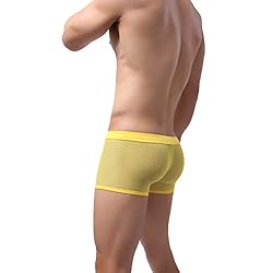 Laxier 2 Pack of Men Boxer Briefs Transparent